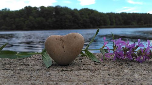 Close-up of heart shape on rock by lake