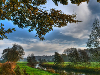 Trees on field against sky during autumn