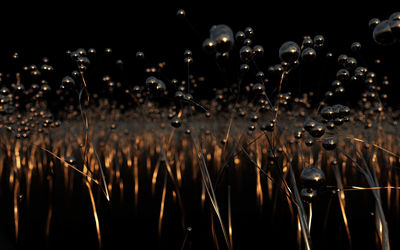 Close-up of water drops on field against sky at night