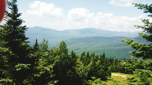 Scenic view of forest and mountains against sky