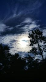 Silhouette of trees against cloudy sky