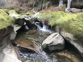 Close-up of waterfall along trees