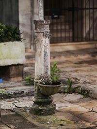 Close-up of fountain
