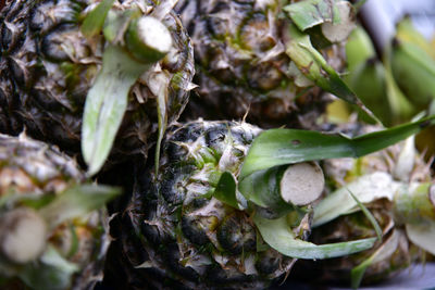 Full frame shot of pineapples for sale in market