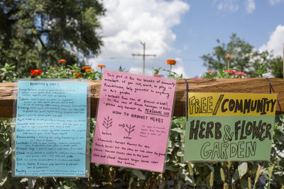 Close-up of information sign against plants