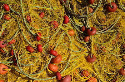 Full frame shot of fishing net