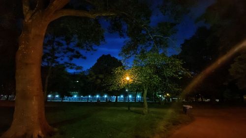 Trees in park against sky at night