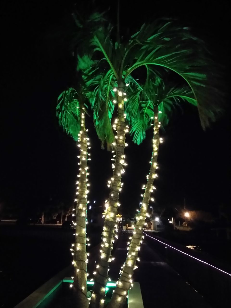 ILLUMINATED CHRISTMAS TREE AT NIGHT DURING FESTIVAL