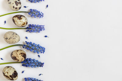 Directly above shot of food on white background