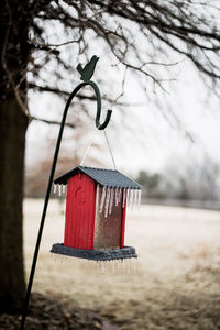 Close-up of bare tree against sky in winter