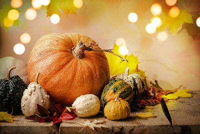 Close-up of pumpkins