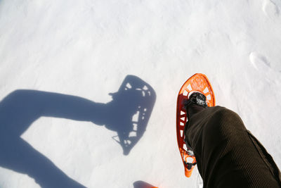 High angle view of people shadow on skateboard