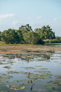 Scenic view of lake against sky