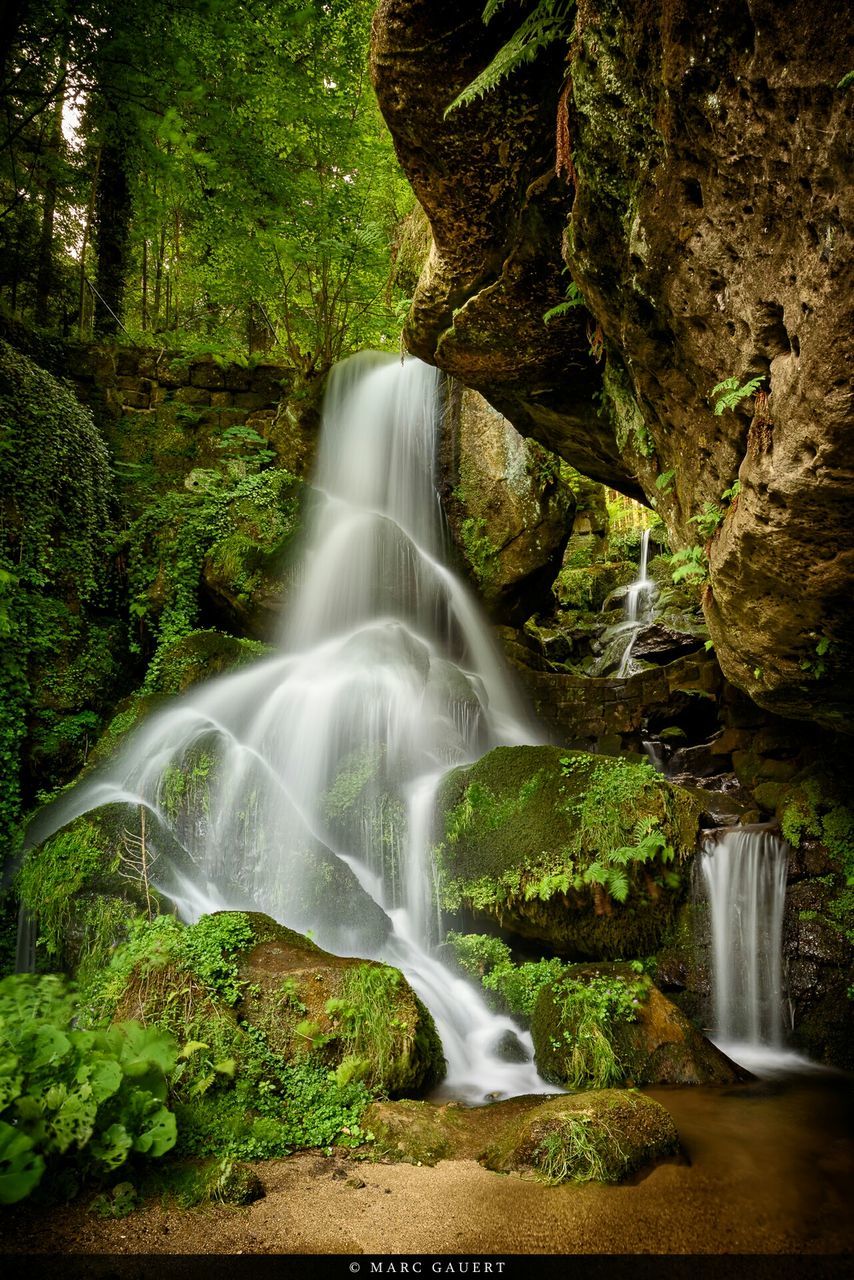 waterfall, motion, flowing water, long exposure, water, flowing, forest, rock - object, tree, beauty in nature, nature, scenics, blurred motion, plant, environment, growth, splashing, moss, green color, rock