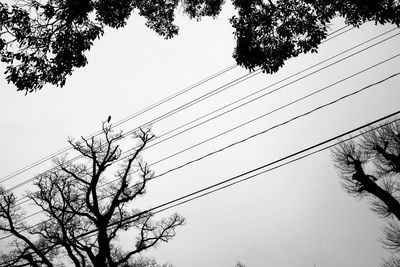 Low angle view of silhouette birds against clear sky