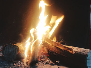 Close-up of bonfire at night