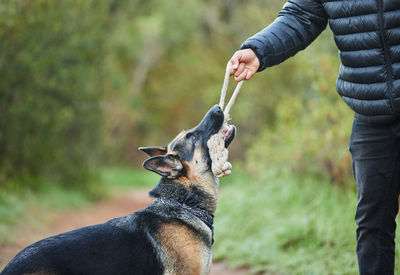 Midsection of man holding dog