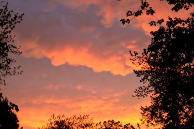 Low angle view of silhouette trees against orange sky