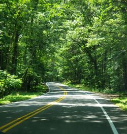 Road amidst trees in forest