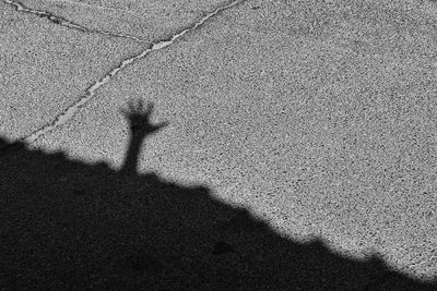 Shadow of person on street