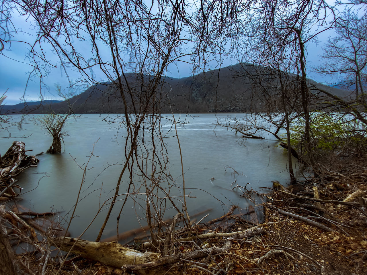 BARE TREES BY LAKE AGAINST SKY