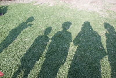 Shadow of people on field