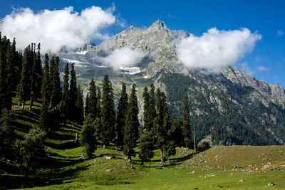 Panoramic view of trees and mountains against sky