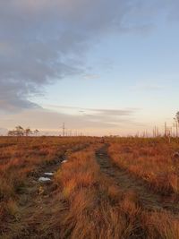 Scenic view of field against sky during sunset