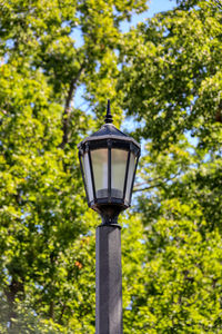 Low angle view of street light against trees