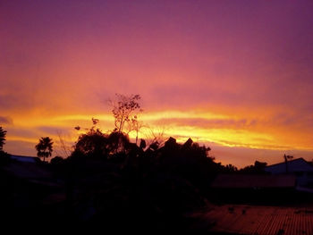 Silhouette trees against sky during sunset