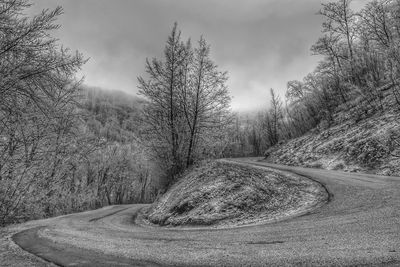 Road amidst bare trees against sky