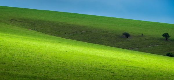 View of green landscape