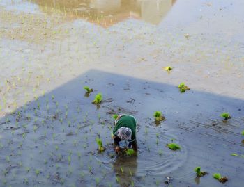 High angle view of person floating on water