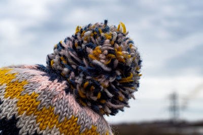Close-up of an animal