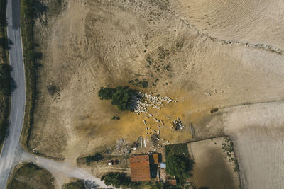 Sheep farm in tuscany photographed with a drone