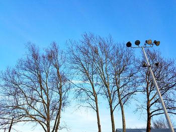 Low angle view of bare trees against clear blue sky