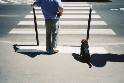 Low section of man with dog standing on road