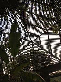 Low angle view of greenhouse against sky