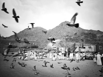 Flock of seagulls flying by mountain against sky