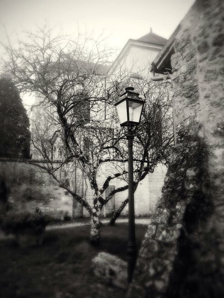 SILHOUETTE OF BARE TREES AND LAMP POST AGAINST SKY