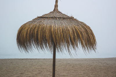 Coconut palm tree on beach against sky