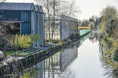 Plants growing by canal by building against sky