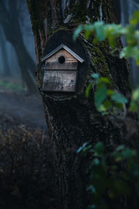 Close-up of birdhouse on tree trunk