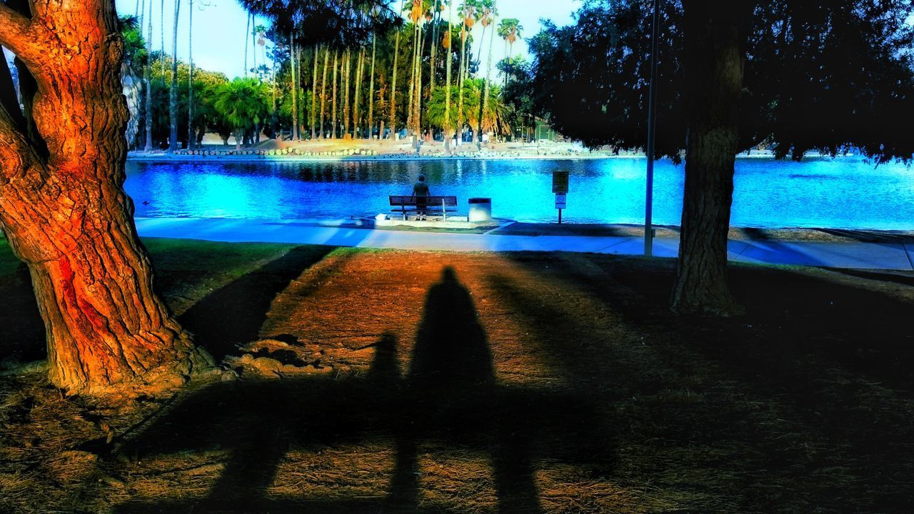 SWIMMING POOL BY LAKE