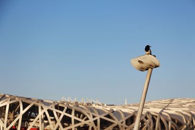 Low angle view of bird on roof against clear sky