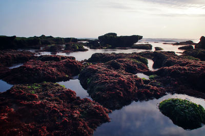 Rocks on sea shore against sky