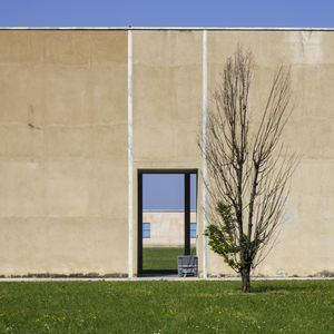 Bare tree on field by building against sky