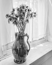 Close-up of potted plant on table at home