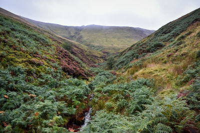 High angle view of trees and mountains against sky