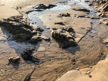 High angle view of beach